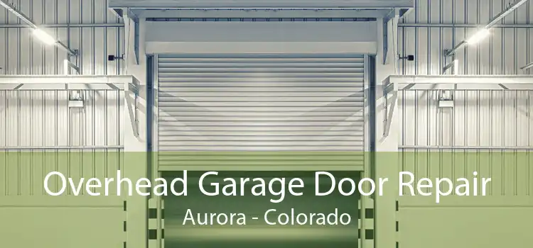 Overhead Garage Door Repair Aurora - Colorado