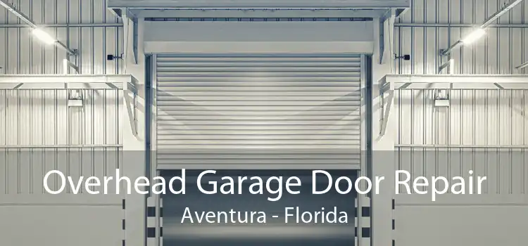 Overhead Garage Door Repair Aventura - Florida
