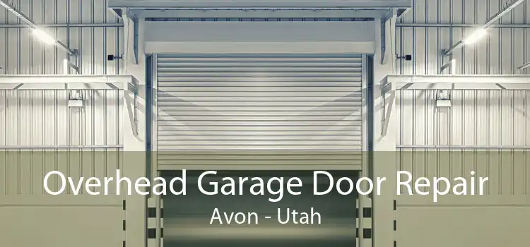 Overhead Garage Door Repair Avon - Utah