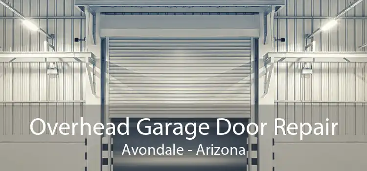 Overhead Garage Door Repair Avondale - Arizona