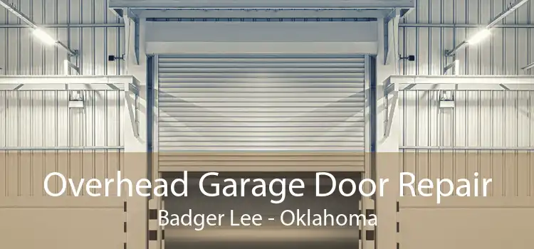Overhead Garage Door Repair Badger Lee - Oklahoma