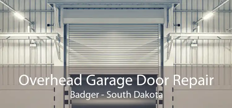 Overhead Garage Door Repair Badger - South Dakota