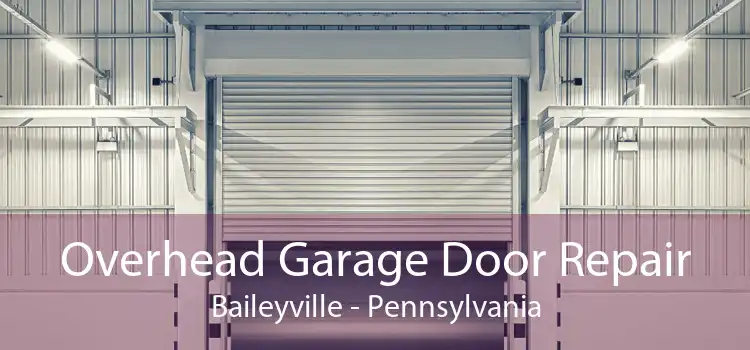 Overhead Garage Door Repair Baileyville - Pennsylvania