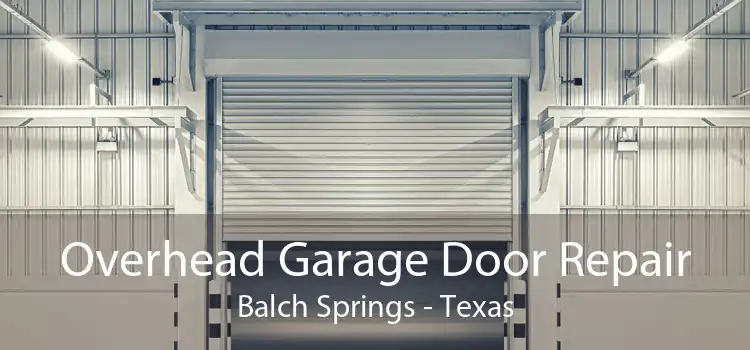 Overhead Garage Door Repair Balch Springs - Texas