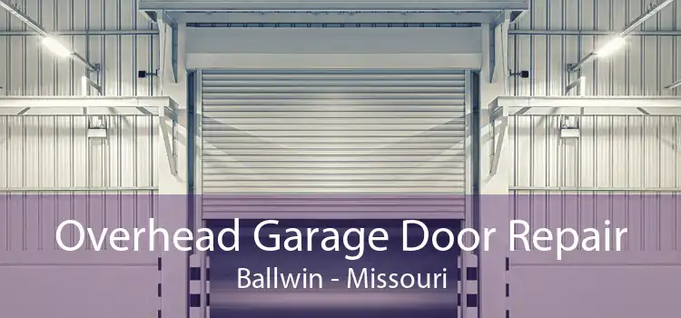 Overhead Garage Door Repair Ballwin - Missouri