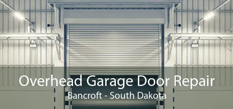 Overhead Garage Door Repair Bancroft - South Dakota