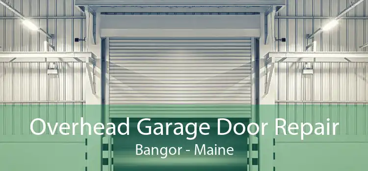 Overhead Garage Door Repair Bangor - Maine