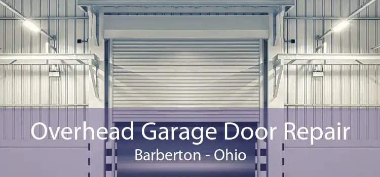 Overhead Garage Door Repair Barberton - Ohio
