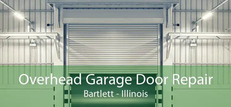 Overhead Garage Door Repair Bartlett - Illinois