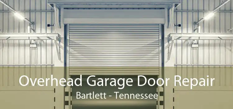 Overhead Garage Door Repair Bartlett - Tennessee