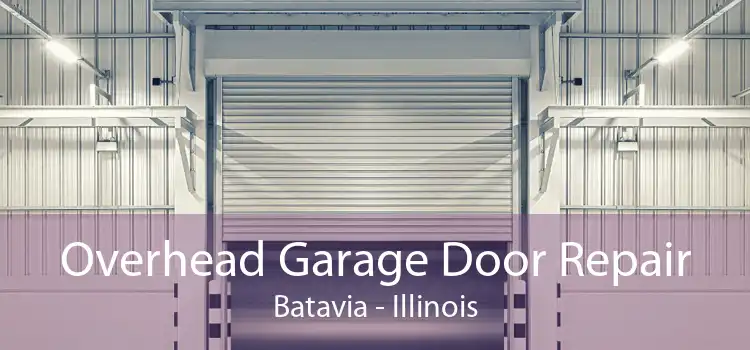 Overhead Garage Door Repair Batavia - Illinois