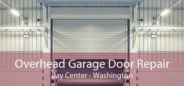 Overhead Garage Door Repair Bay Center - Washington