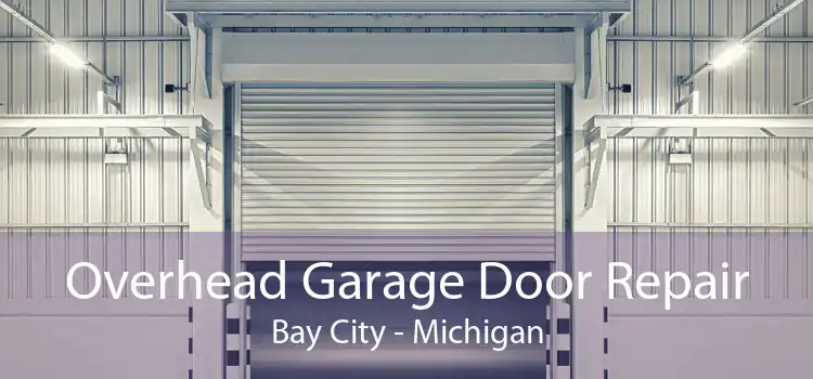 Overhead Garage Door Repair Bay City - Michigan