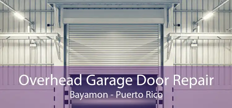 Overhead Garage Door Repair Bayamon - Puerto Rico