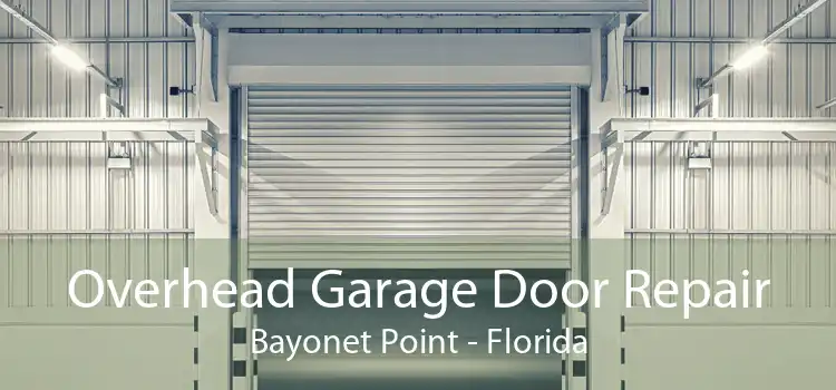 Overhead Garage Door Repair Bayonet Point - Florida