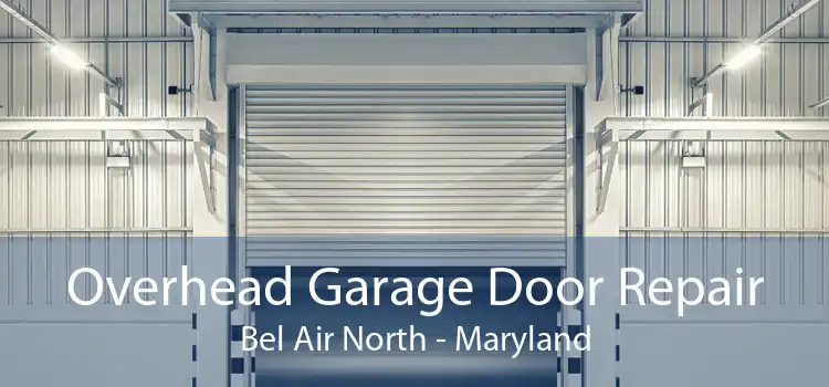 Overhead Garage Door Repair Bel Air North - Maryland