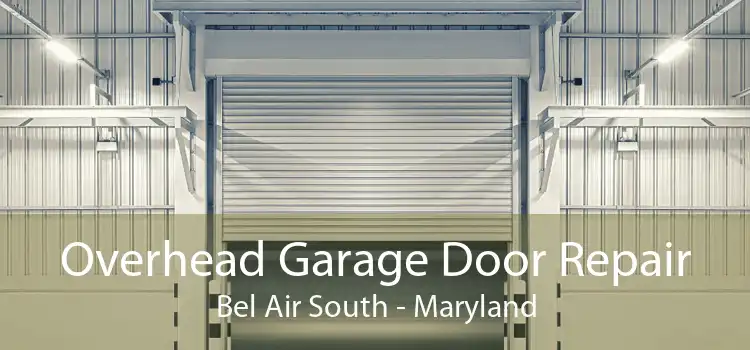 Overhead Garage Door Repair Bel Air South - Maryland