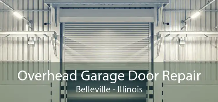 Overhead Garage Door Repair Belleville - Illinois
