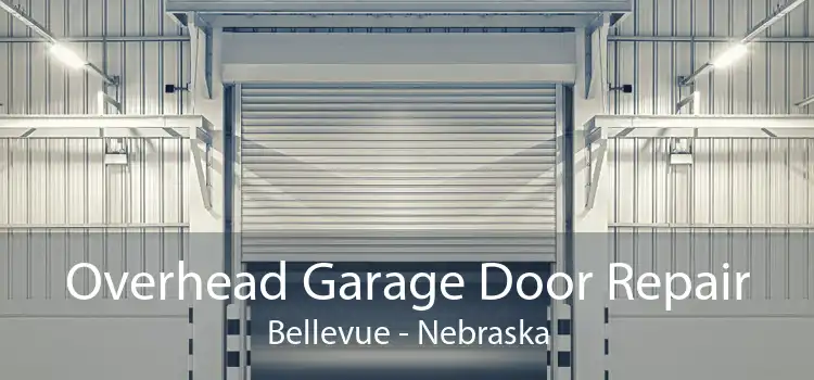 Overhead Garage Door Repair Bellevue - Nebraska