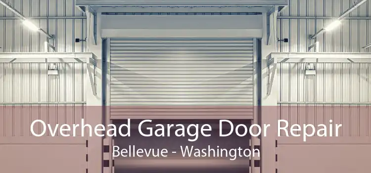 Overhead Garage Door Repair Bellevue - Washington