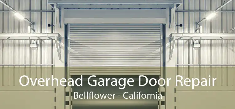 Overhead Garage Door Repair Bellflower - California