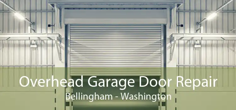 Overhead Garage Door Repair Bellingham - Washington