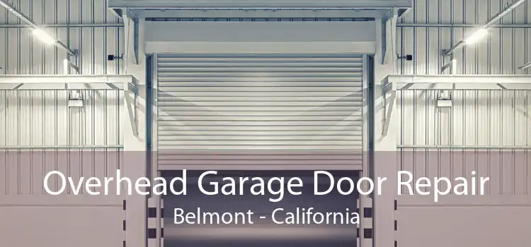 Overhead Garage Door Repair Belmont - California