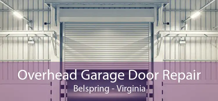 Overhead Garage Door Repair Belspring - Virginia