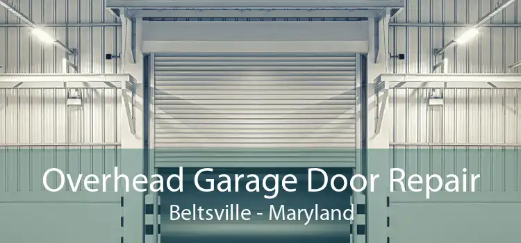 Overhead Garage Door Repair Beltsville - Maryland