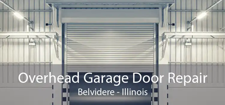 Overhead Garage Door Repair Belvidere - Illinois