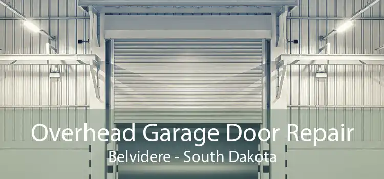 Overhead Garage Door Repair Belvidere - South Dakota
