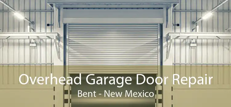 Overhead Garage Door Repair Bent - New Mexico