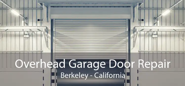 Overhead Garage Door Repair Berkeley - California