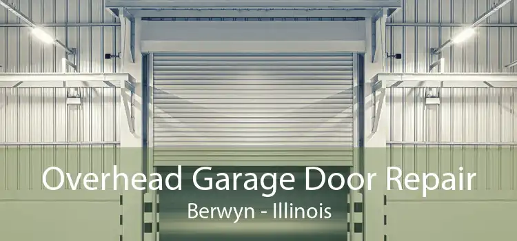 Overhead Garage Door Repair Berwyn - Illinois