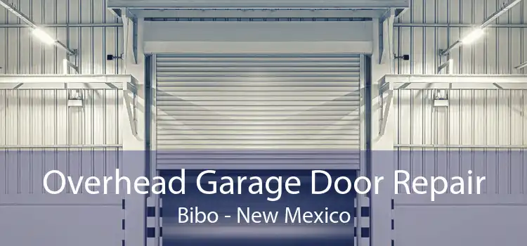 Overhead Garage Door Repair Bibo - New Mexico