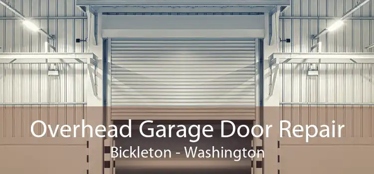 Overhead Garage Door Repair Bickleton - Washington
