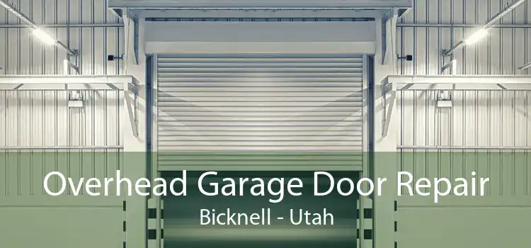 Overhead Garage Door Repair Bicknell - Utah