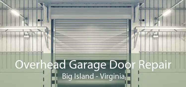 Overhead Garage Door Repair Big Island - Virginia