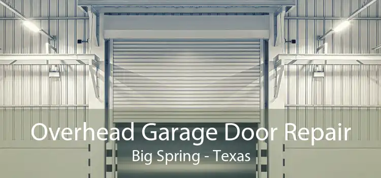 Overhead Garage Door Repair Big Spring - Texas