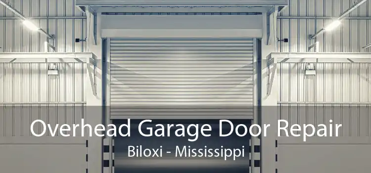 Overhead Garage Door Repair Biloxi - Mississippi