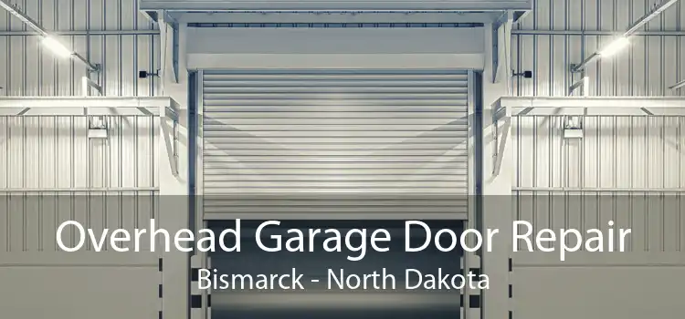 Overhead Garage Door Repair Bismarck - North Dakota