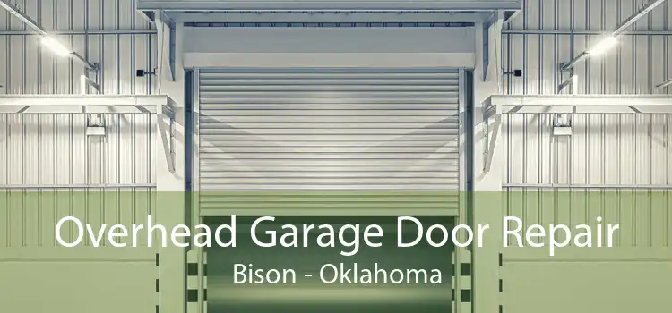 Overhead Garage Door Repair Bison - Oklahoma