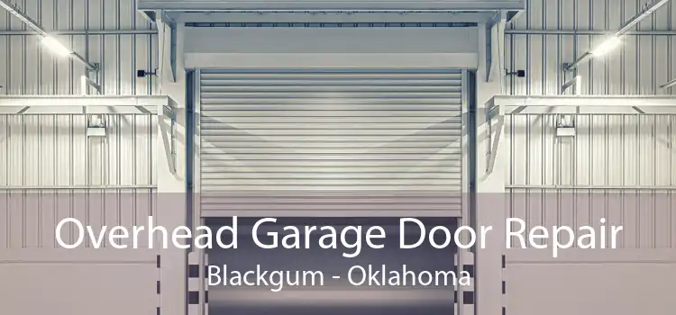 Overhead Garage Door Repair Blackgum - Oklahoma