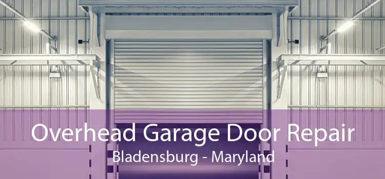 Overhead Garage Door Repair Bladensburg - Maryland