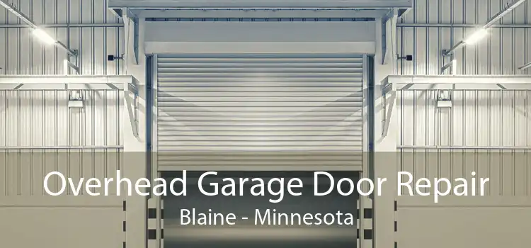 Overhead Garage Door Repair Blaine - Minnesota