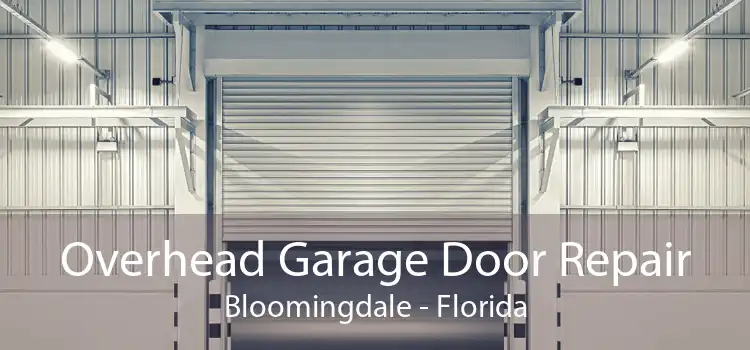 Overhead Garage Door Repair Bloomingdale - Florida