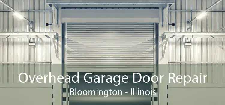 Overhead Garage Door Repair Bloomington - Illinois