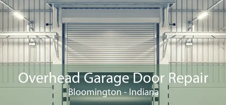 Overhead Garage Door Repair Bloomington - Indiana