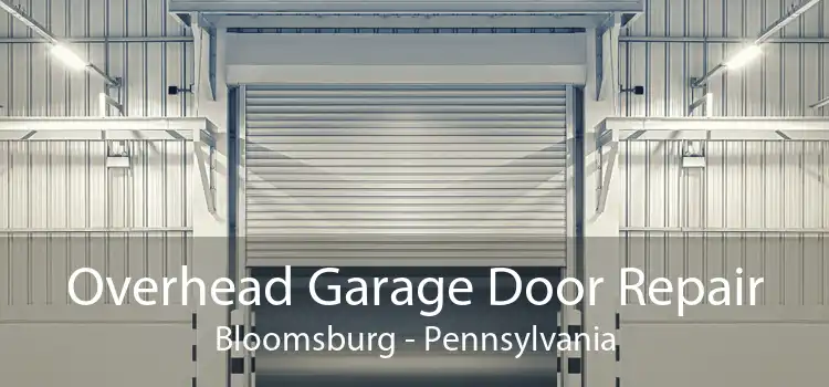 Overhead Garage Door Repair Bloomsburg - Pennsylvania