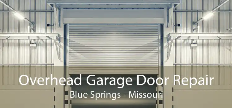 Overhead Garage Door Repair Blue Springs - Missouri